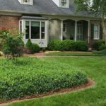 a house with a lawn and a tree