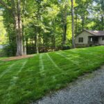 A healthy lawn is the center of a good landscaped space