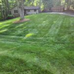 Landscaping and Maintaining a beautiful lawn