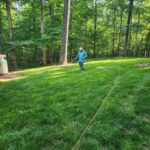 Treating lawns to ensure maximum health